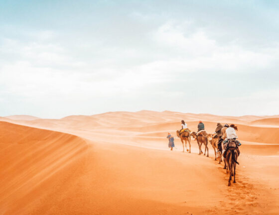 Excursiones desierto desde Marrakech
